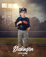 TB_ASTROS_Dunn_Ryan_DLL29607_FIELD LIGHTS_