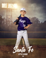 CP7_FROGS_Stewart_Carter_SF111008_FIELDLIGHTS