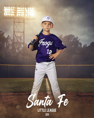CP7_FROGS_Stewart_Carter_SF111008_FIELDLIGHTS