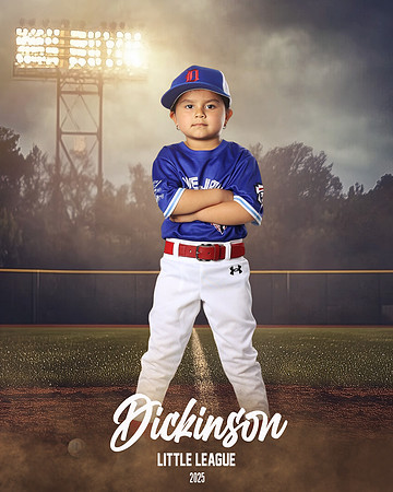 TB_BLUEJAYS_Gallo_Gianna_DLL12667_FIELD LIGHTS_