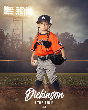 TB_TIGERS_Shafer_Harper_DLL12296_FIELD LIGHTS_