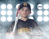 6U_Padres_Carroll_Sawyer_MAG26649_LIT