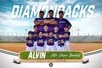 JR_TB_DIAMONDBACKS