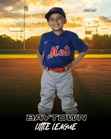M2_ Mets_Gonzalez_Fidel_BAY12748_SUNSHINE