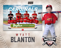 M3_ Cardinals_Blanton_Wyatt_BAY28006_MM