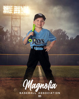 4_5U_Rays_Guillory_Sterling_MAG25151_FIELD LIGHTS_