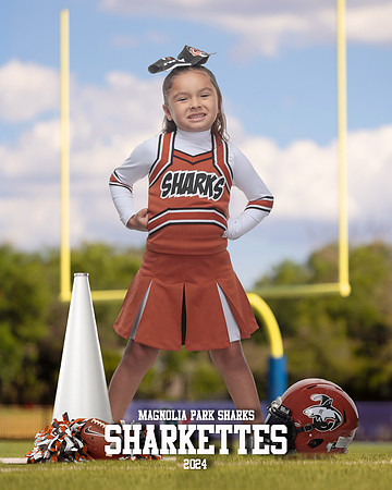 MASCOT_Cuadros_Gianna_IMGL0376_GOAL POST_