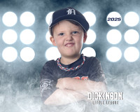 TB_ASTROS_Allen_Jack_DLL29612_LIT