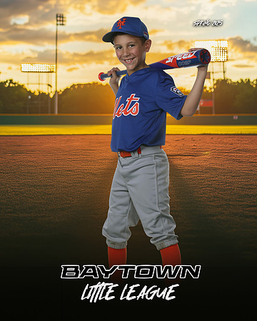 M2_ Mets_Hampton_Carter_BAY12691_SUNSHINE