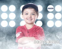 TB_RANGERS_Arnone_Harper_HN020813_LIT