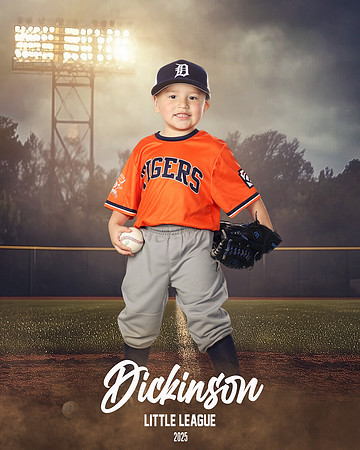 TB_TIGERS_villanueva_Giovanni_DLL11539_FIELD LIGHTS_