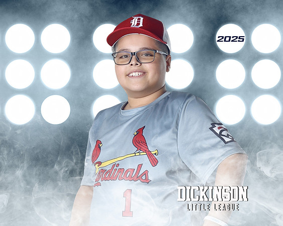 MJR_CARDINALS_Torres_Brody_DLL13160_LIT