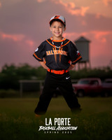 4U_Foal_Orioles_Newell_Ripp_LP010361_TRUCK