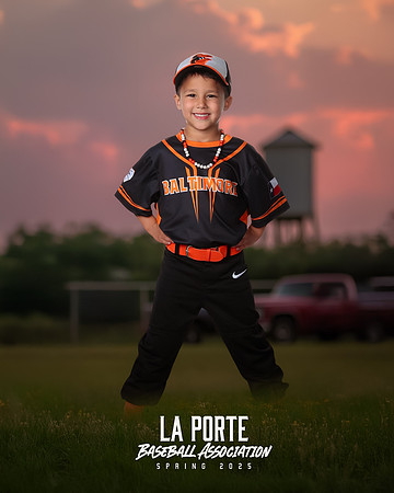 4U_Foal_Orioles_Newell_Ripp_LP010361_TRUCK