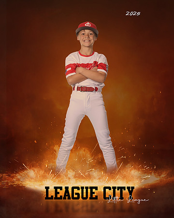 AAA.Lutz.Cardinals_Frankovich_Carter_IMG_1991_ROF