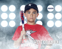 JR MINOR WOODPECKERS_Rios JR_Carlos_WC011002_LIT_