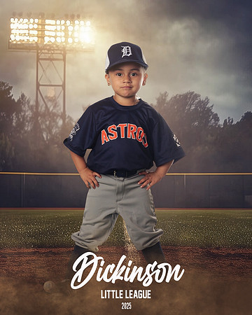 TB_ASTROS_Alvarez_Glenda_DLL29660_FIELD LIGHTS_