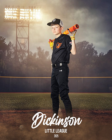 MJR_ORIOLES_Lee_Camden_DLL12962_FIELD LIGHTS_