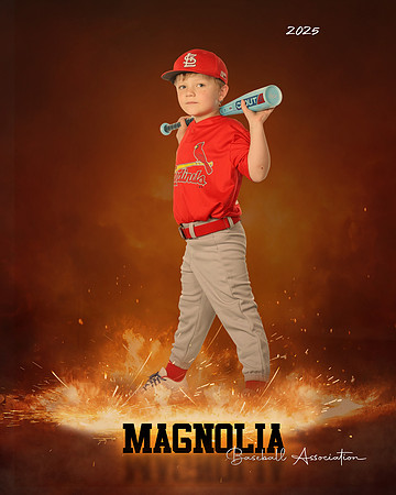 4_5U_Cardinals_Brami_Mason_MAG11658_ROF