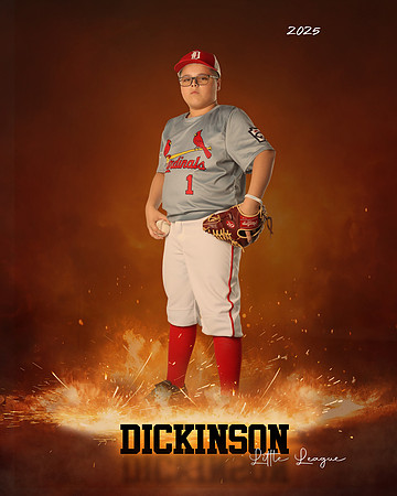 MJR_CARDINALS_Torres_Brody_DLL13161_ROF
