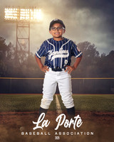 8U_Pinto_Yankees_Tirado_Brian_LP023815_FIELDLIGHTS