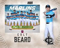 MJR.Dickson.Marlins_Beard_Colt_SF_27424_MM