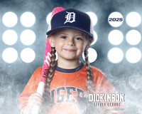 TB_TIGERS_Shafer_Harper_DLL12291_LIT