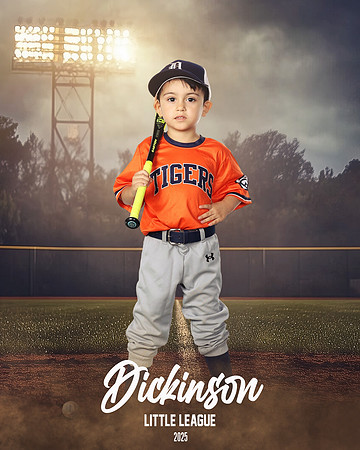 TB_TIGERS_White_Liam_DLL11553_FIELD LIGHTS_