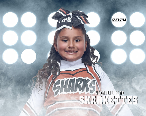 MASCOT_Castellanos_Aimee_IMGL1363_LITCHEER_