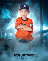 TB_TIGERS_ROUSER_Landon_DLL11524_DUGOUT_