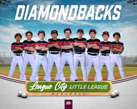 AA.Swartz.Diamondbacks_NO BG