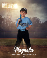 4_5U_Rays_Francis_Colt_MAG25410_FIELD LIGHTS_