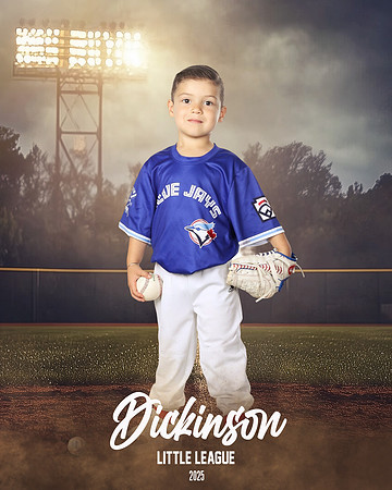 TB_BLUEJAYS_Guzman_Evan_DLL11685_FIELD LIGHTS_