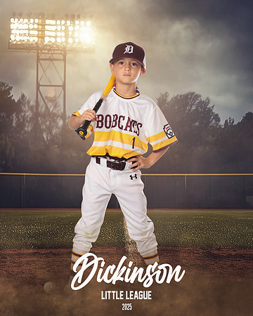 CP8_BOBCATS_Marshall_Jason_DLL20344_FIELD LIGHTS_