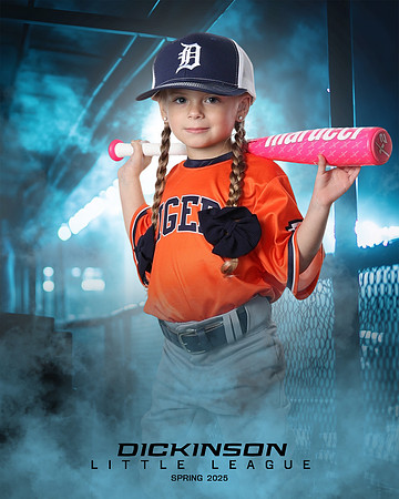TB_TIGERS_Shafer_Harper_DLL12294_DUGOUT_