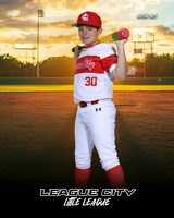 MJR.Powell.Cardinals_Morris_Easton_143A1842_SUNSHINE