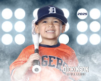 TB_TIGERS_Polk_Maddox_DLL11517_LIT