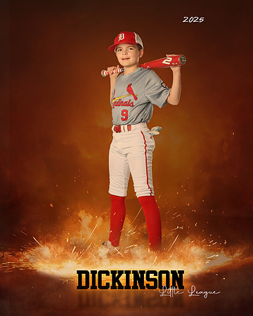 MJR_CARDINALS_Burkett_Kason_DLL13150_ROF