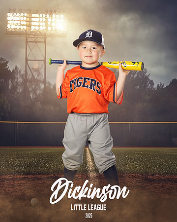 TB_TIGERS_villanueva_Giovanni_DLL11538_FIELD LIGHTS_