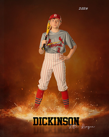 MJR_CARDINALS_Forte_Graham_DLL13137_ROF
