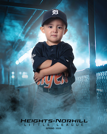 TB_TIGERS_Villanueva_Jax_HN022167_DUGOUT
