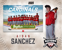 MJR_Cardinals_Sanchez_Aidan_BAY29916_MM