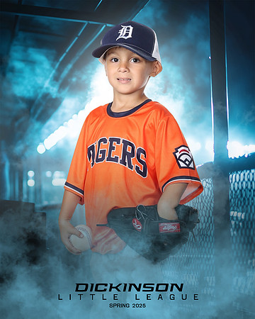 TB_TIGERS_Tiffany_Charles_DLL11649_DUGOUT_