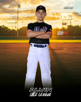 MJR_METS_12U_Swope_Forest_CAM13633_SUNSHINE