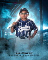 8U_Pinto_Yankees_Tirado_Brian_LP023817_DUGOUT