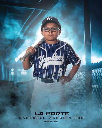 8U_Pinto_Yankees_Tirado_Brian_LP023817_DUGOUT