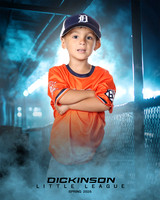 TB_TIGERS_Tiffany_Charles_DLL11639_DUGOUT_