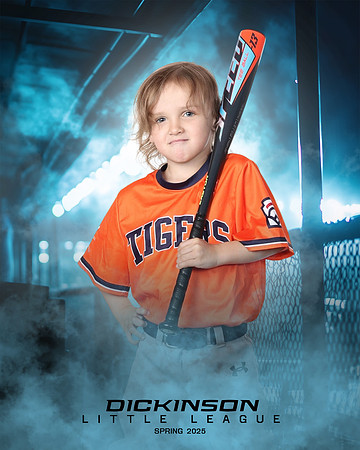 TB_TIGERS_Thorne_Anthony_DLL11624_DUGOUT_