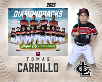 CP.Austin.Diamondbacks_Carrillo_Tomas_SF_27295_MM_MM