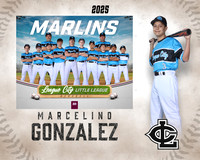 MJR.Dickson.Marlins_Gonzalez_Marcelino_SF_27476_MM